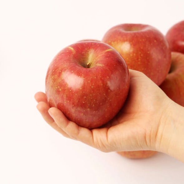 [신한카드 할인] [클래식농원] GAP, 저탄소 괴산 부사 3kg 14~16과(소)