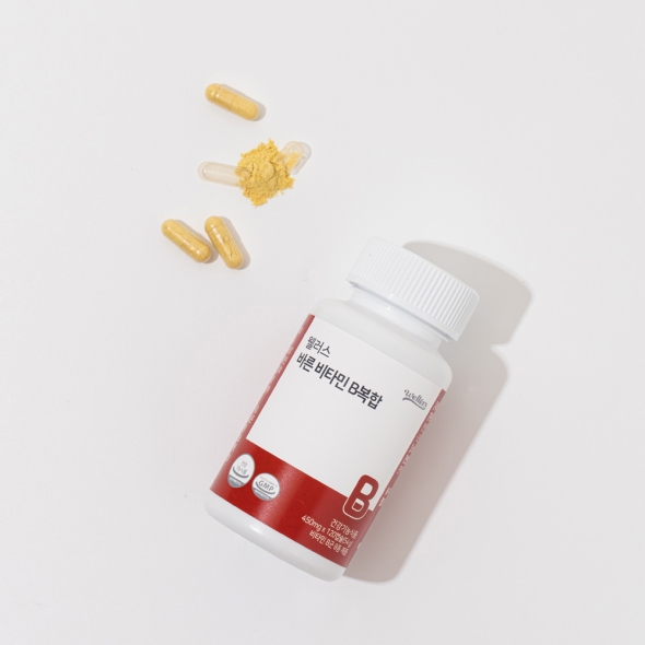 [특별할인] 웰러스 바른 비타민B복합(450mg*120캡슐)
