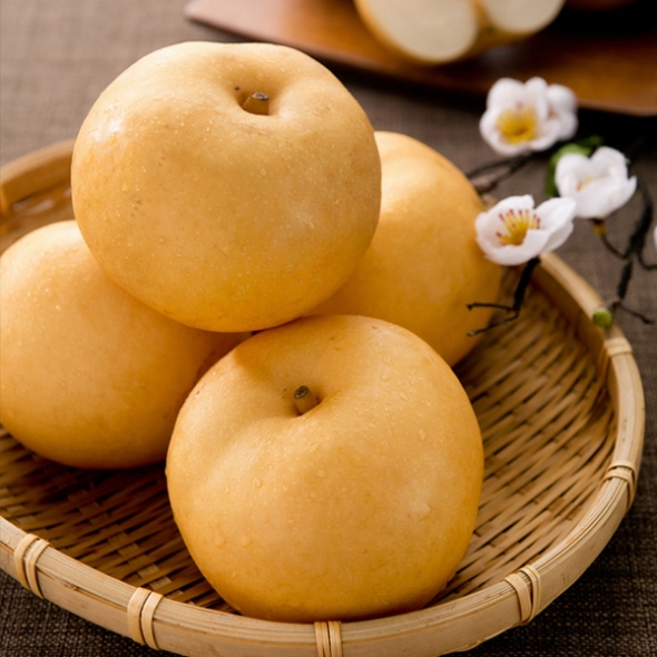 [1/19일부터 순차출고] [농협] 한아름드린 프리미엄 사과/배혼합세트 4.5kg내외(사과3과/배6과)