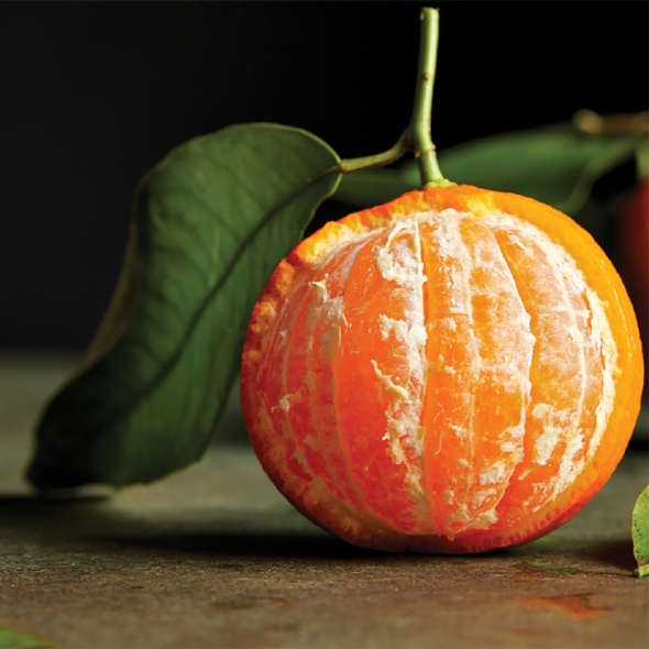 [부엌애] 프리미엄 당도선별 고당도 퓨어스펙 블랙라벨 오렌지 3kg~5kg