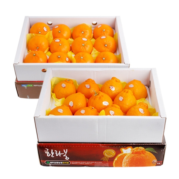 [농협공판장] 당도선별 정성드린 제주만감 2종묶음세트(한라봉+천혜향 각3kg 10과내)