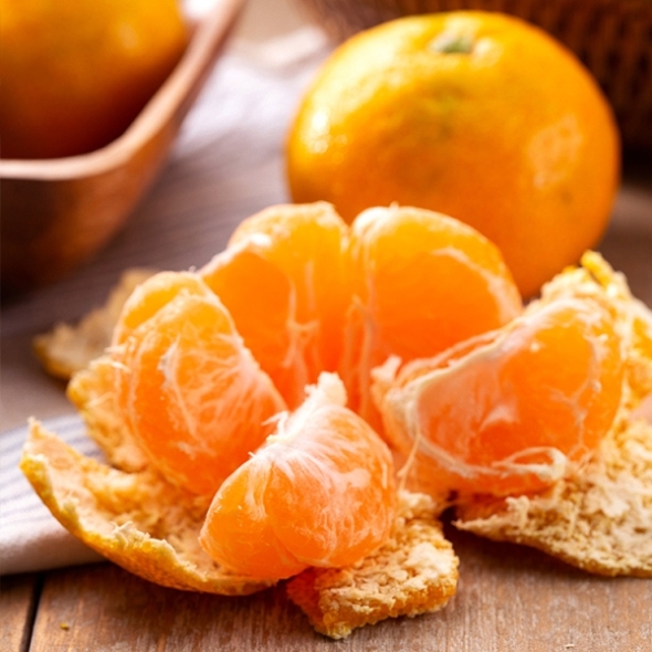 [보름데이] 제주 조생종 노지감귤 실중량 3kg 5kg 10kg