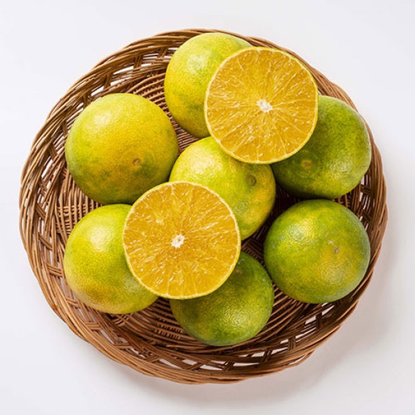 [신한카드 할인][흙이음] 국내산 노지 황금향 1.5kg(혼합과)