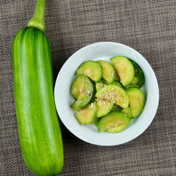 [농협] 한아름드린 애호박 5개/10개/20개(특)