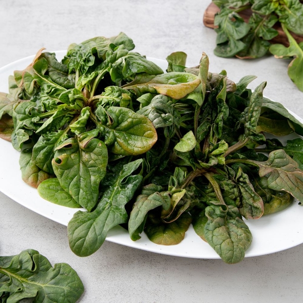 [심심상인] 산지직송 남해 시금치 보물초 섬초 500g/1/2/3kg