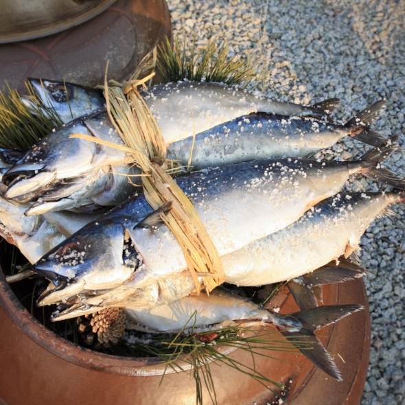 순살 고등어 안동간고등어 15팩 구이용 고등어 개별 팩포장