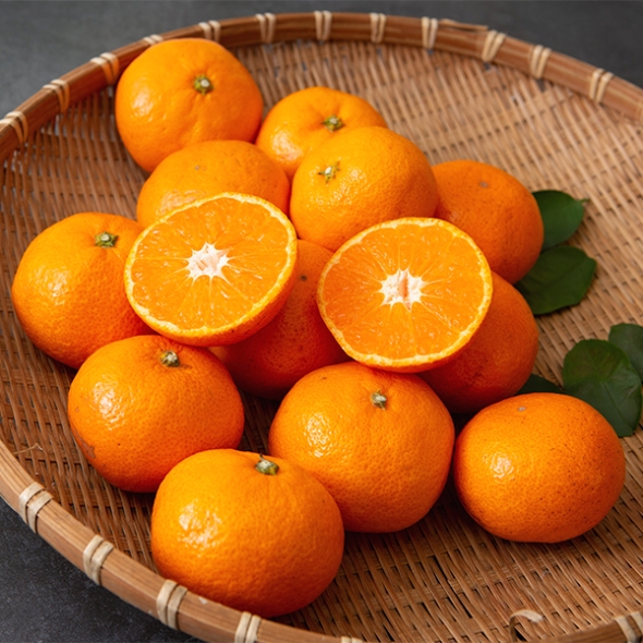 [만원의 행복] 고당도 타이벡  감귤(푸)