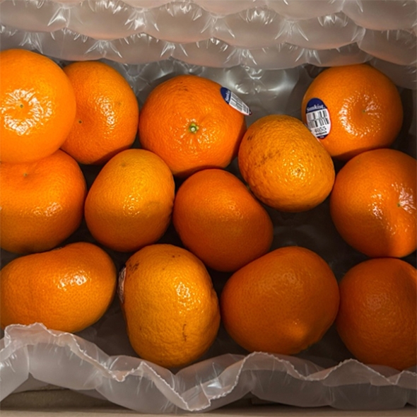 프리미엄  만다린귤(푸)