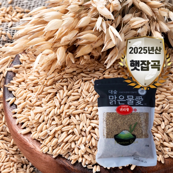 [대숲맑은물애] 25년산 영양곡물 알갱이 고소한맛 귀리쌀 1kg~5kg