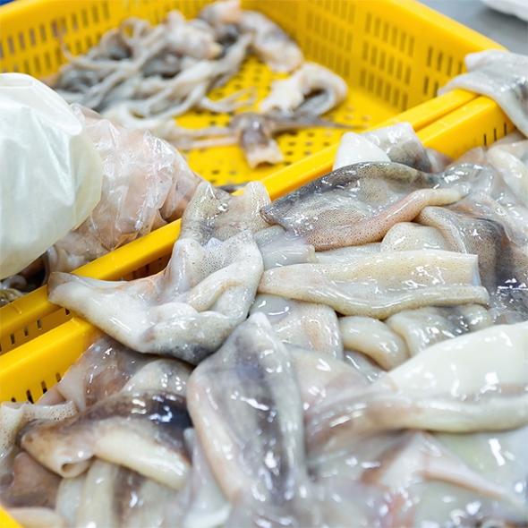 프리미엄 손질오징어(푸)