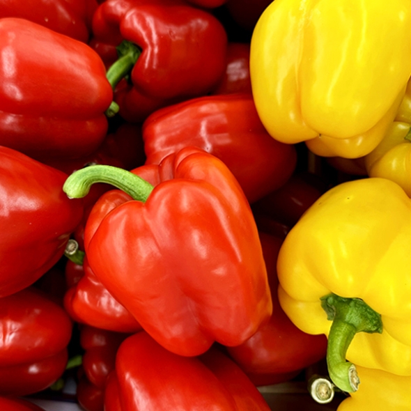 [농협] 한아름드린 신선 혼합 파프리카(빨강/노랑) 2kg/4kg(상/가정용)