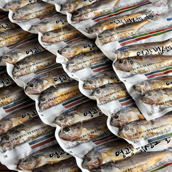 굴비 영광 법성포 굴비 선물세트 가정용 진공포장 엮걸이포장