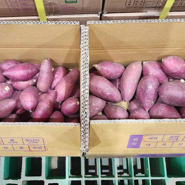 ★행사★[제휴A]호박 고구마 5kg/10kg(최)