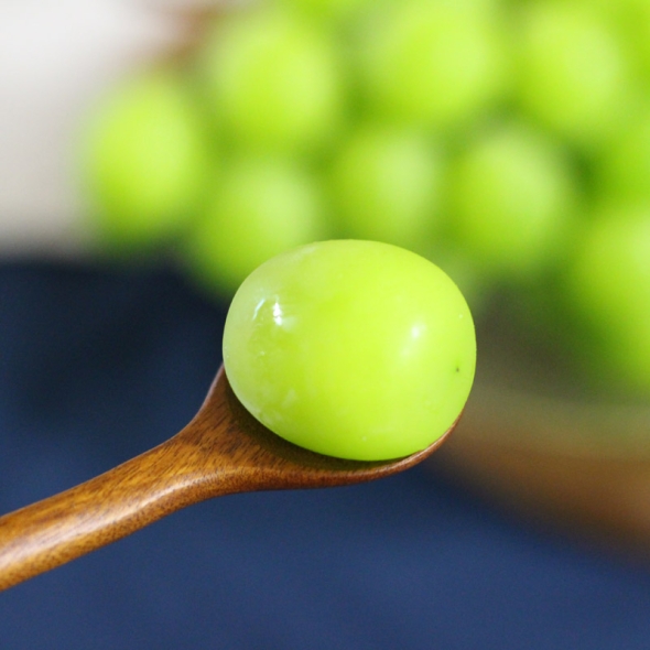 [명절브팜] 빛나는 샤인머스켓 고당도 2kg 선물세트 선물용