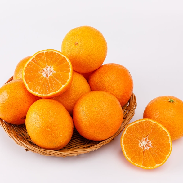 [푸토리] 향과 정성이 천리를 가는 제주 천혜향 3kg(9~14과)