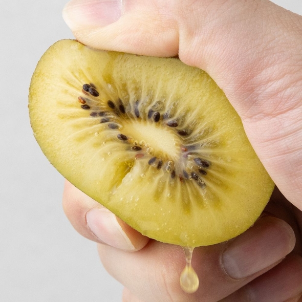 [백억] 황금빛 달콤한 국내산 보성 골드키위