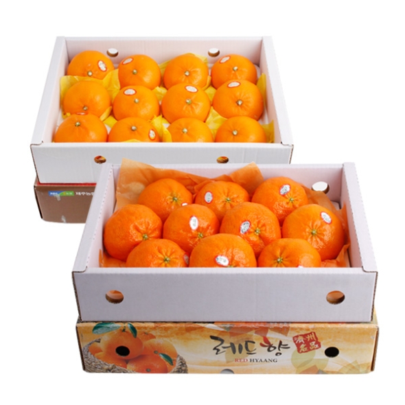 [농협공판장] 당도선별 정성드린 제주만감 2종묶음세트(천혜향+레드향 각3kg 13과내)