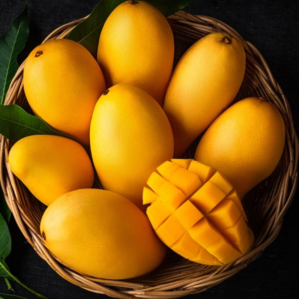 신한카드 할인] [흙이음] 태국 골드망고 2kg (6과수 내외)