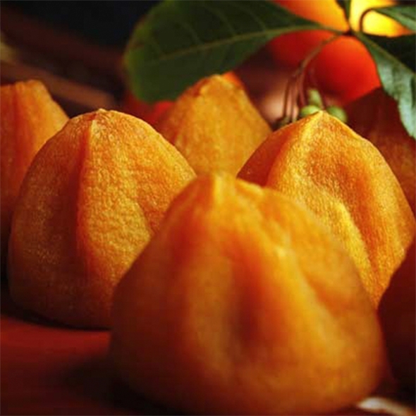 [신한카드 할인] 전통방식의 반건시 영동곶감(푸)