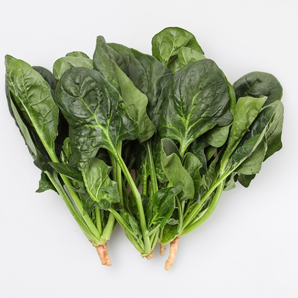 [오커최고] 해풍 시금치 남해안 섬초 500g 1kg 2kg 보물초