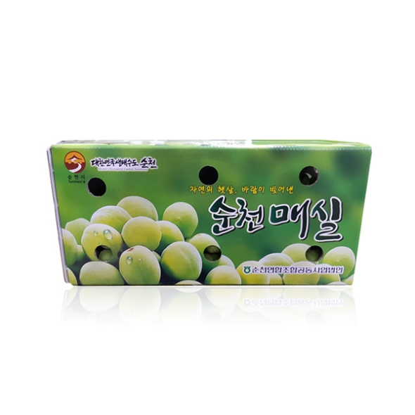 [농협공판장] 정성드린 순천 초록 매실 5kg(대/특대/왕특) /6월1일 순차출고