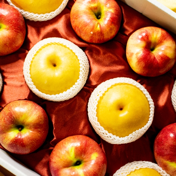 [오커브팜] 한상 사과배 선물세트 (사과 6과 + 배 6과)