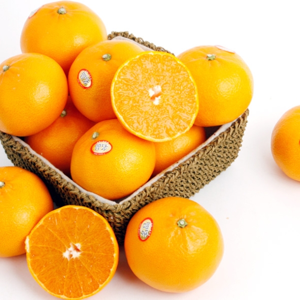 [농협공판장] 당도선별 정성드린 제주만감 2종묶음세트(천혜향+레드향 각3kg 13과내)