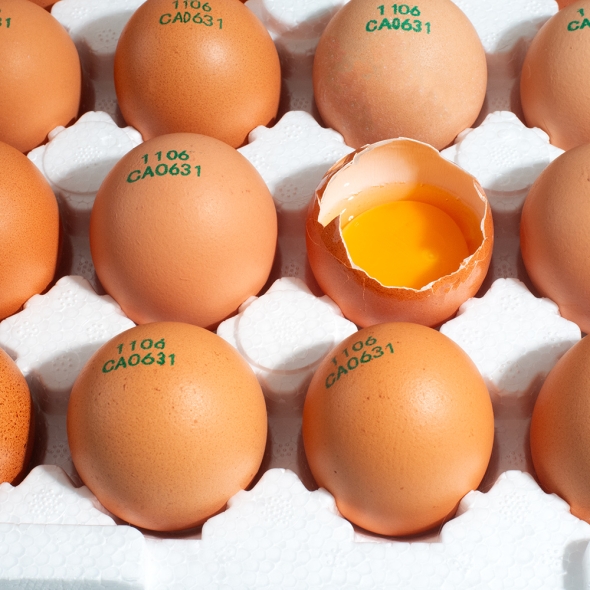 [보름데이]  자연방사 [난각 1번] 무항생제  유정란  (20구/40구/60구)