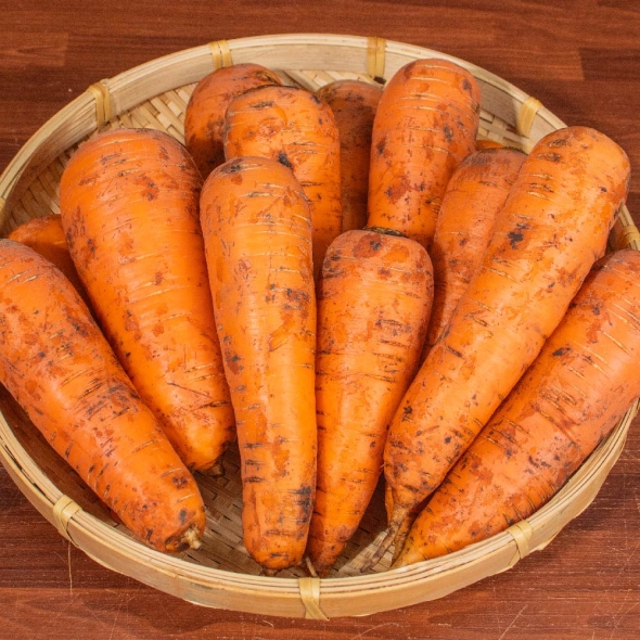  [신한카드 할인] 영양가득 가정용 제주 구좌당근 흙 햇당근  3kg/5kg/10kg