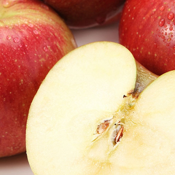  [신한카드 할인][흙이음] 부사사과 가정용 B급 중소과 5kg + 5kg