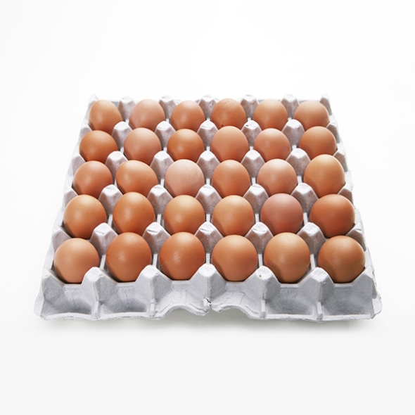 영양만점  구운계란(푸)