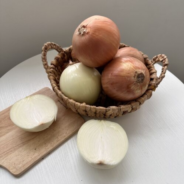 정품 국내산 양파 중대(로얄) 사이즈