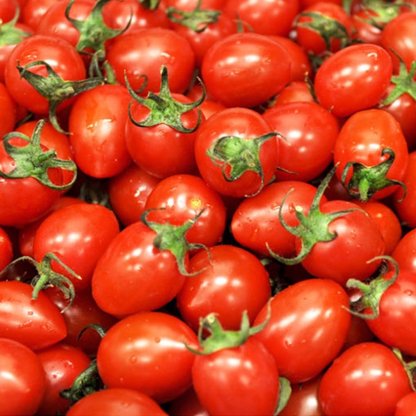 [농협] 대추방울토마토 2kg(4번과) 