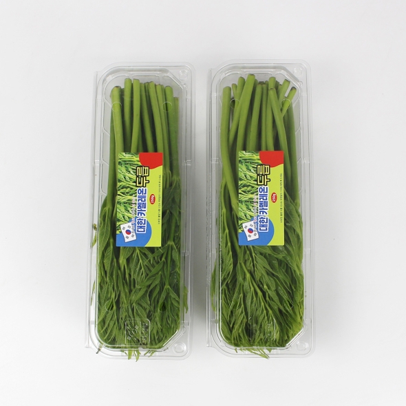 26년산 서산농부의 여름두릅 500g / 1kg / 2kg 당일수확 가시없는두릅 새순
