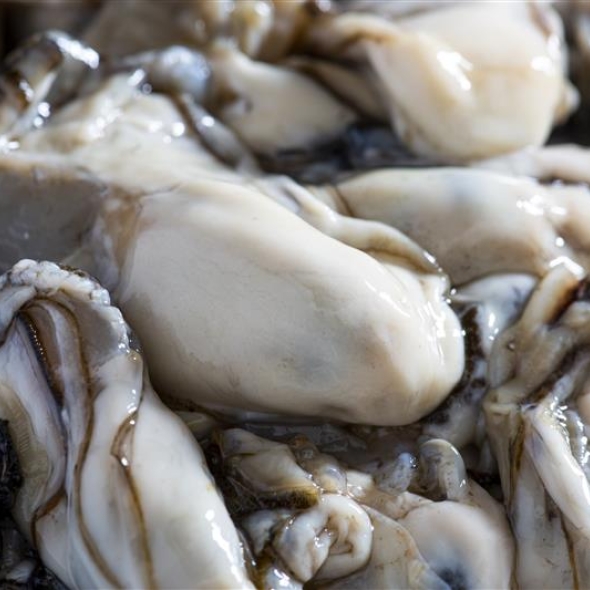 이순신수산 산지직송 통영 최상급 깐굴 1kg 버블세척·신선배송