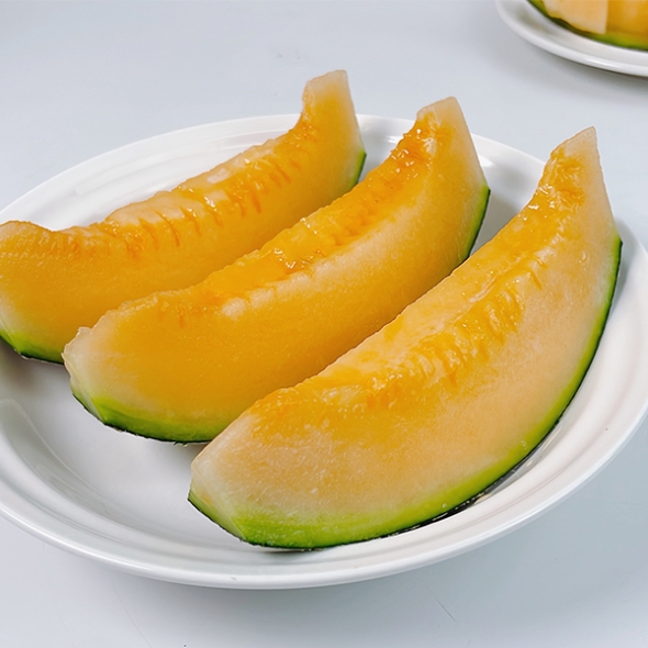[오커캄스] 진한 하미과 메론 주황빛 멜론 2통