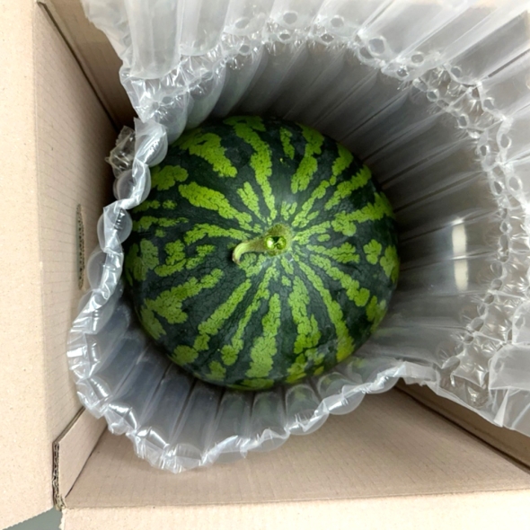 [으뜸] 고당도 하우스 꿀수박4~6kg [12Brix이상]