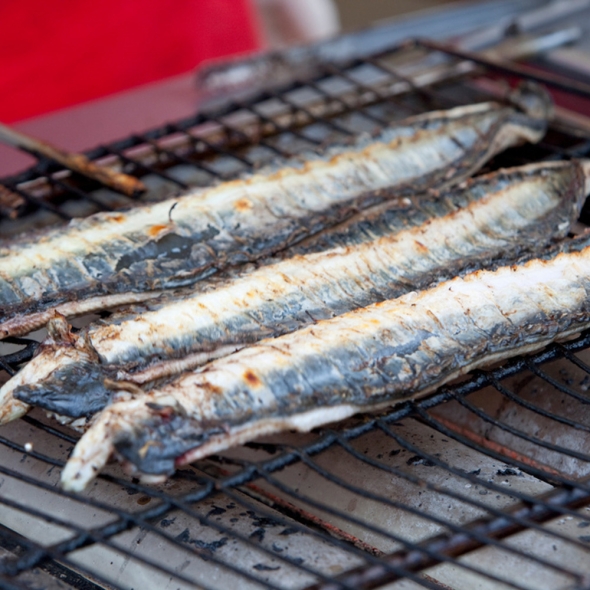 국내산 붕장어(아나고) 1kg 국내산천일염 / 전남여수 / 손질 후 급속 동결