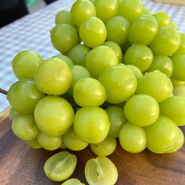  [신한카드 할인] [흙이음] 아삭한 식감 새콤달콤 샤인머스켓 1kg