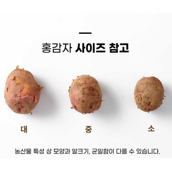 (최켓)홍감자