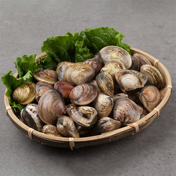 자연산 남해  활  바지락(푸)