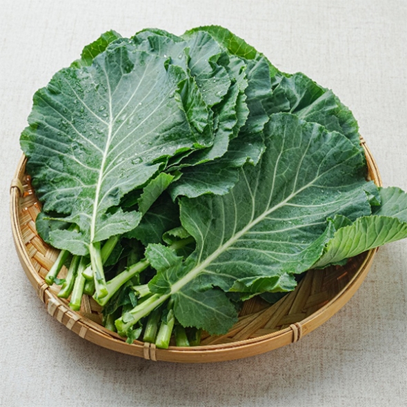 셰계적인 슈퍼푸드 케일(푸)