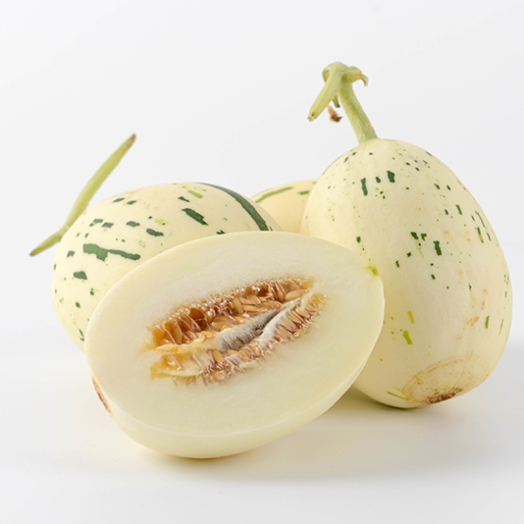 [오커최고] 백자 메론 달콤 멜론 2kg 4kg