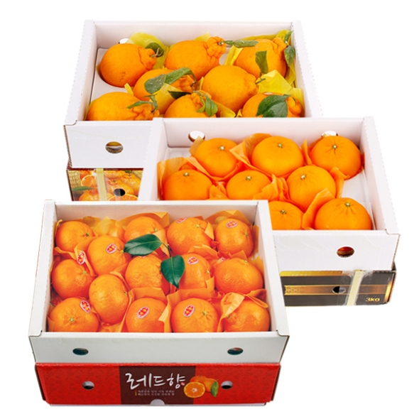 [제주향기] 탐나는 제주만감 3종묶음세트(한라봉3kg12과내+천혜향3kg15과내+레드향3kg15과내)