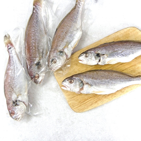 [제주특선] 백조기(보구차) 1팩/2팩/3팩 (팩당750g이상/3~4마리)