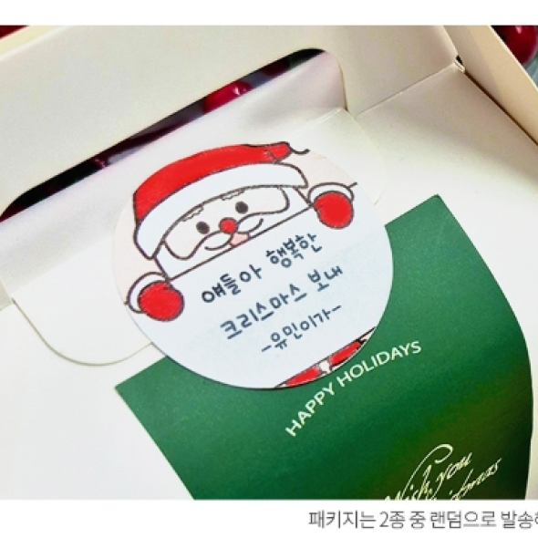 [특별 할인]크리스마스 홀리데이 심플 간식 9종 과자선물 단체간식 어린이집간식