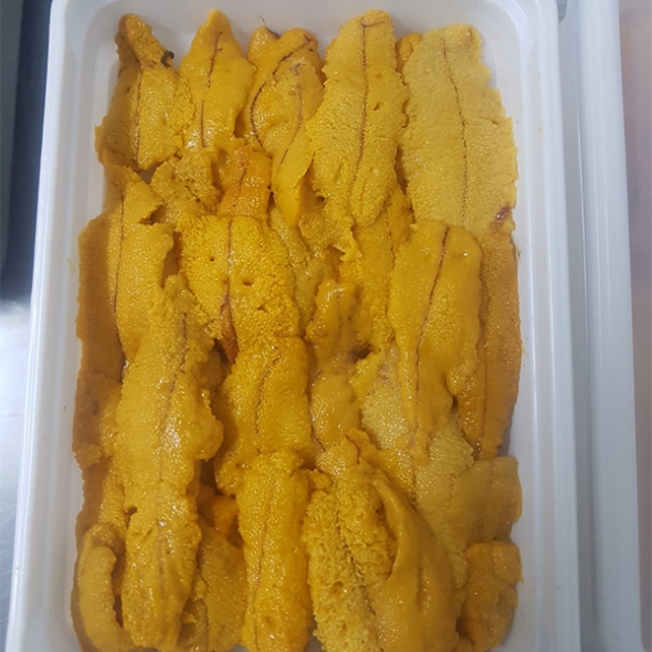 우니&홈마카세(최)
