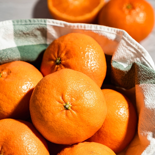 [오커마니] 제주 레드향 과즙 팡 하우스 레드향 일반포장