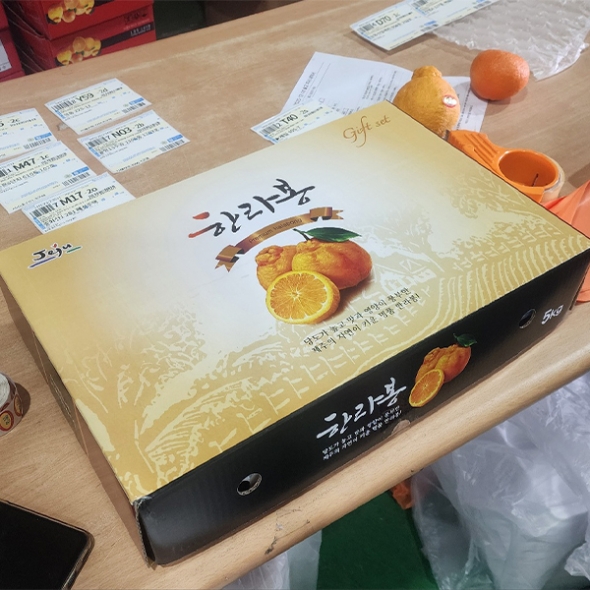 [선물용] 프리미엄 고당도 한라봉(푸)