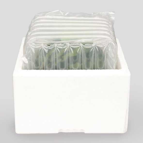 [농협] 한아름드린 아이스 냉장 씨적은 수박 7-8kg(특품)/전용박스포장